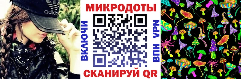 Псилоцибиновые грибы Psilocybe  Среднеколымск 